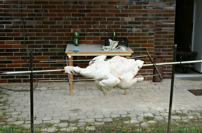 img00005.jpg