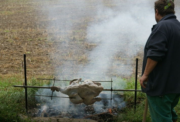 img00006.jpg