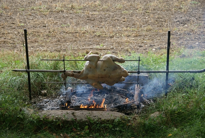 img00010.jpg