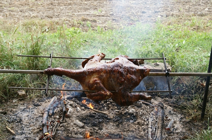 img00011.jpg