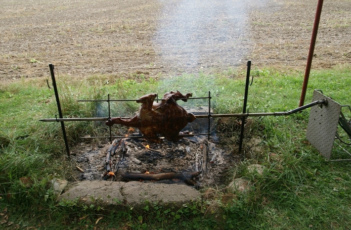 img00012.jpg