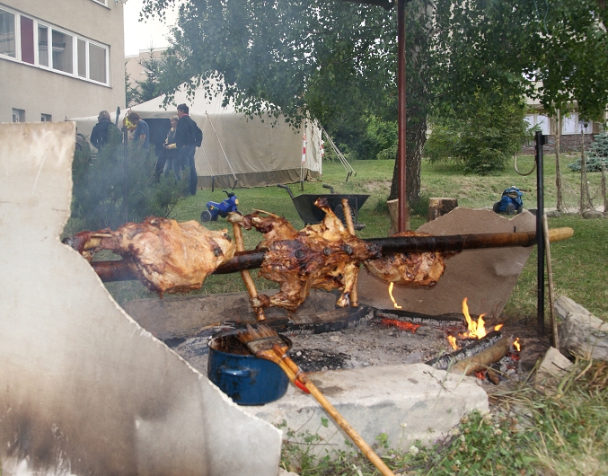 img00049.jpg