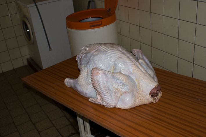 img00002.jpg