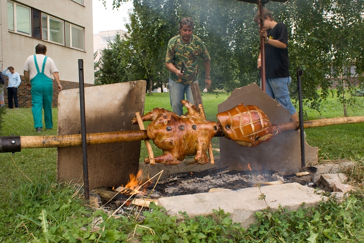 img00008.jpg
