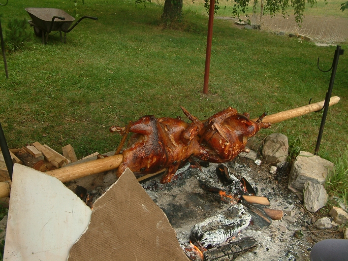 img00008.jpg