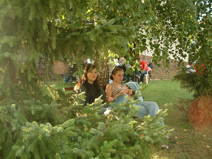 img00030.jpg