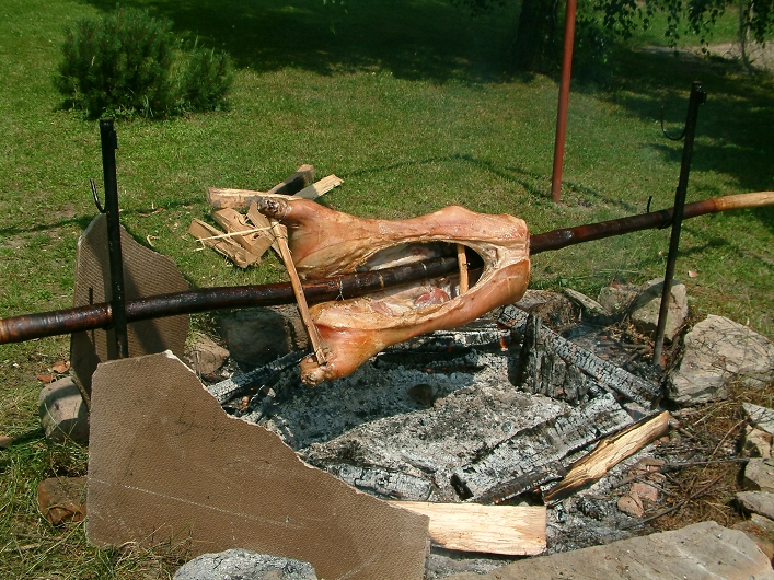 img00007.jpg