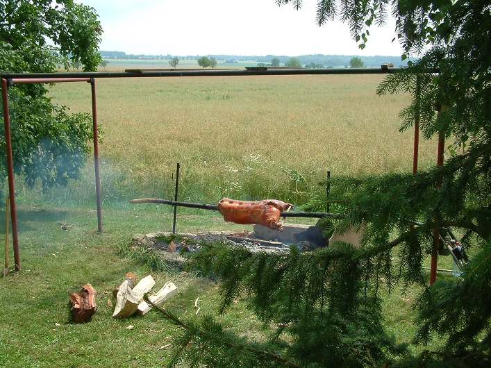img00009.jpg