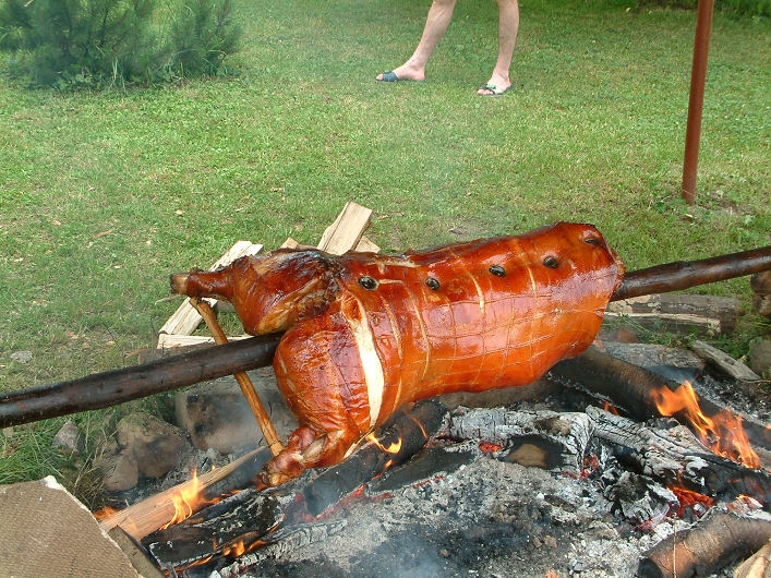 img00010.jpg