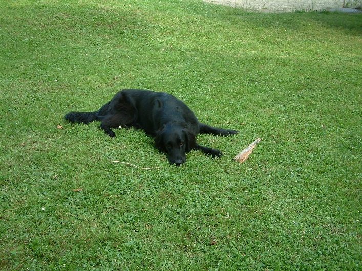img00017.jpg