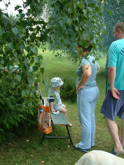 img00039.jpg