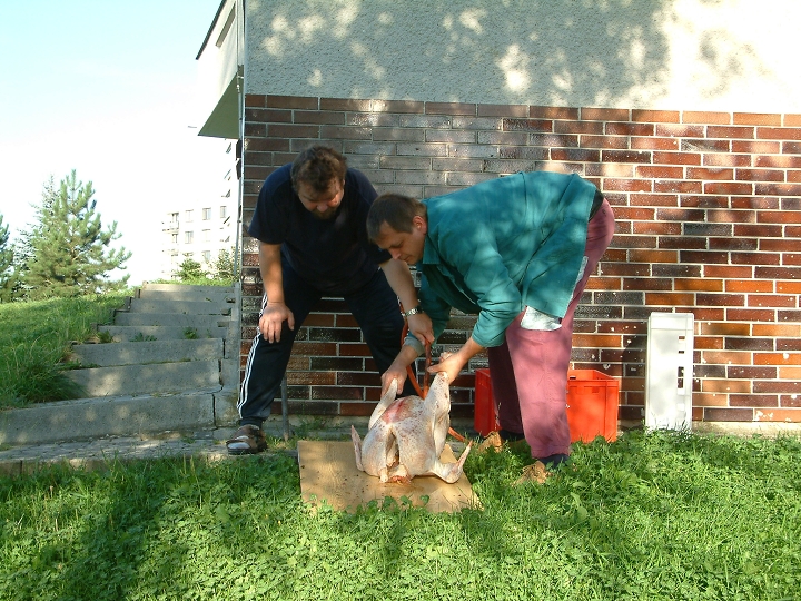 img00010.jpg