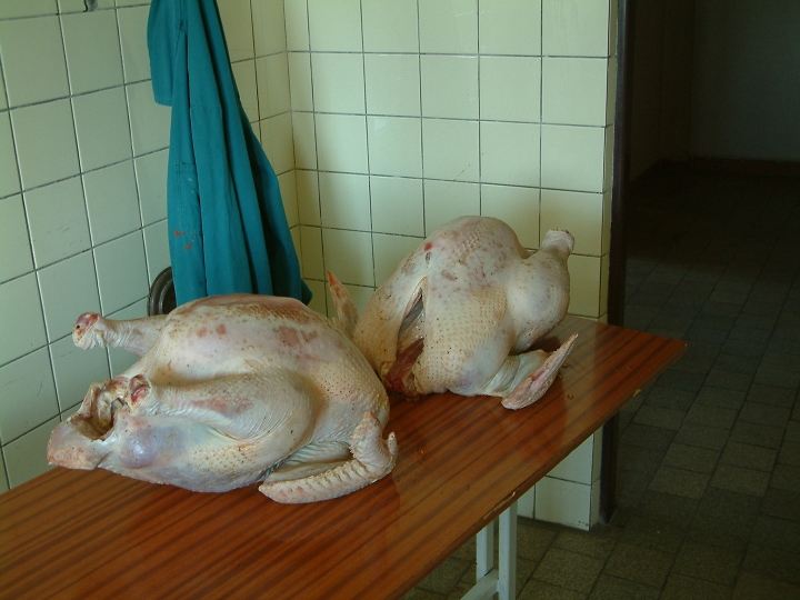 img00015.jpg