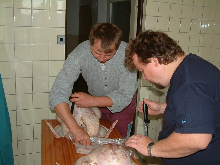 img00016.jpg