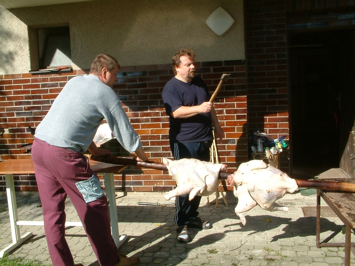 img00018.jpg