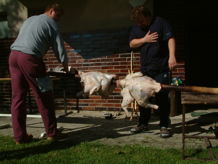img00020.jpg