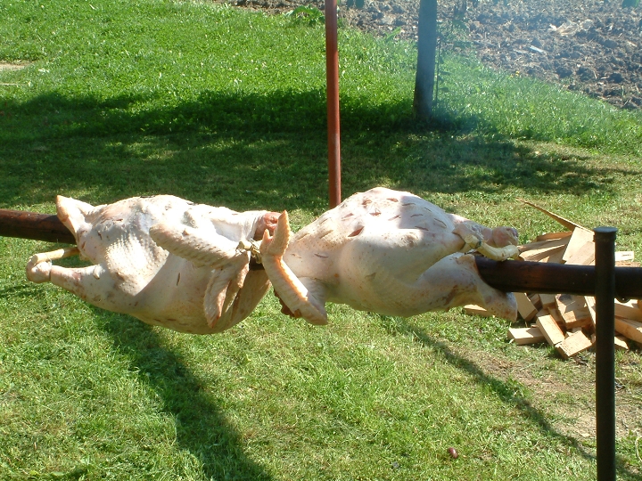 img00021.jpg