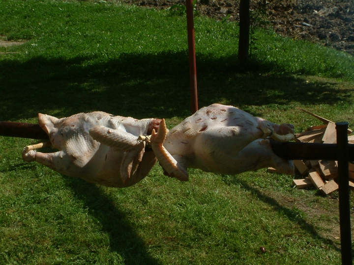 img00022.jpg