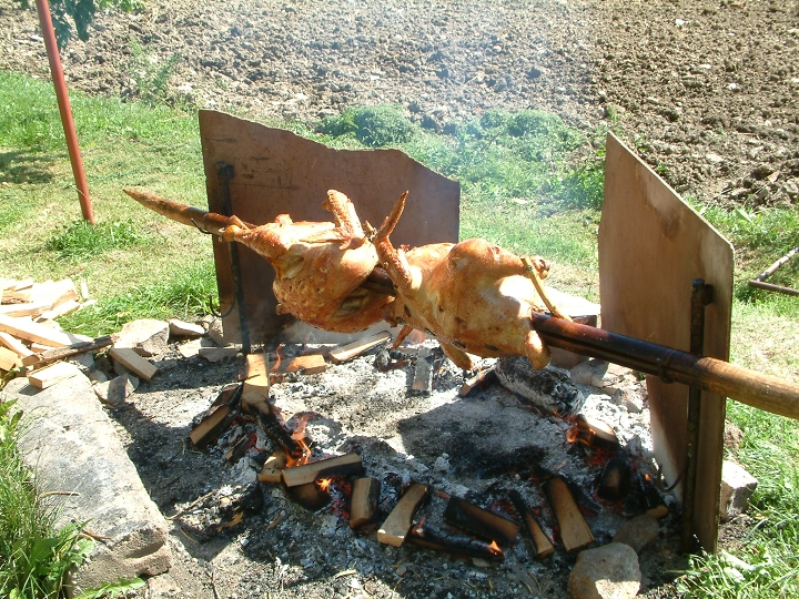 img00024.jpg