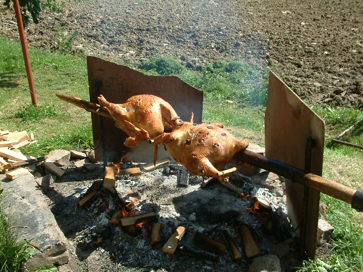 img00026.jpg