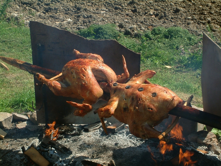 img00031.jpg
