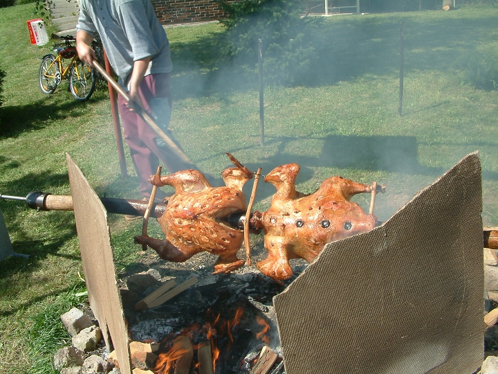 img00037.jpg