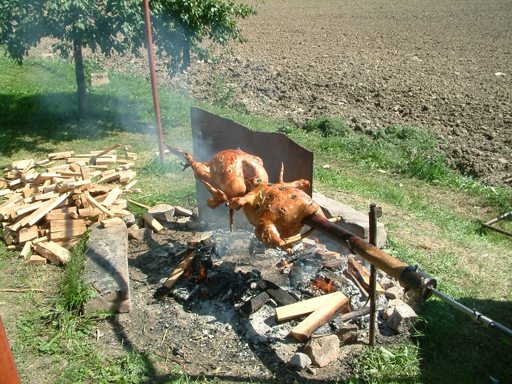 img00038.jpg