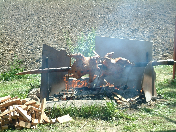 img00041.jpg