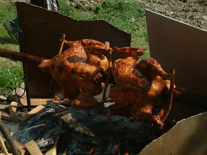 img00046.jpg