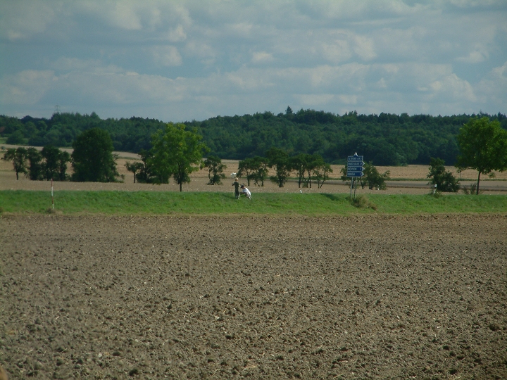 img00057.jpg
