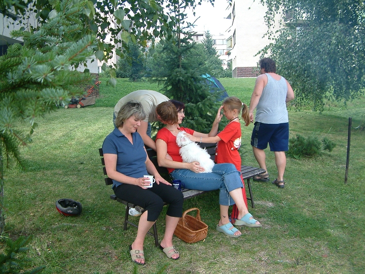 img00064.jpg