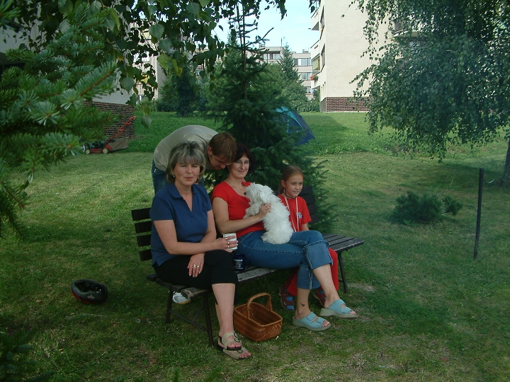 img00065.jpg