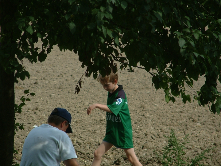 img00101.jpg