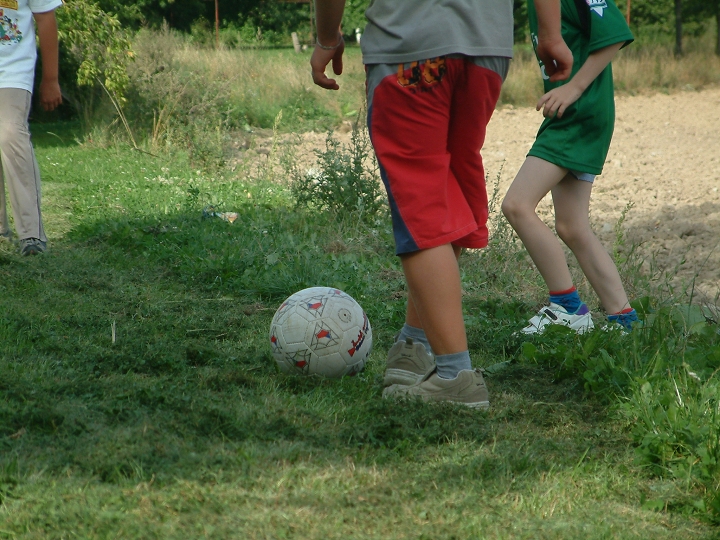 img00117.jpg