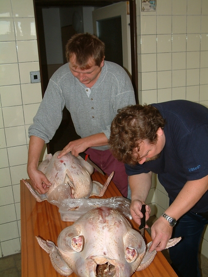 img00149.jpg