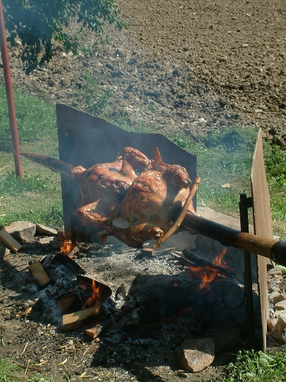 img00153.jpg