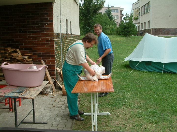 img00003.jpg