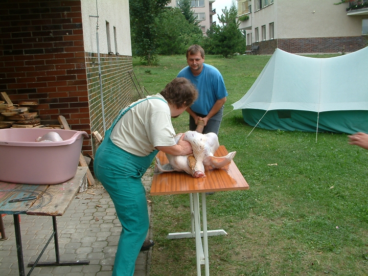 img00004.jpg