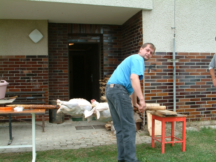 img00007.jpg