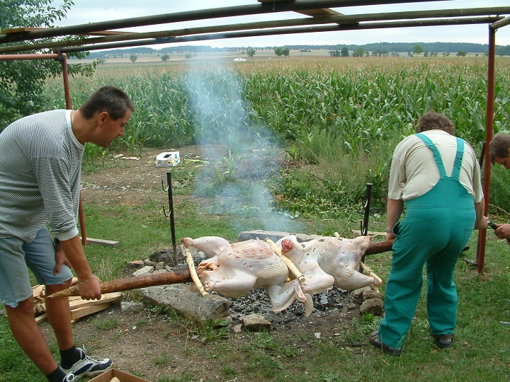 img00009.jpg
