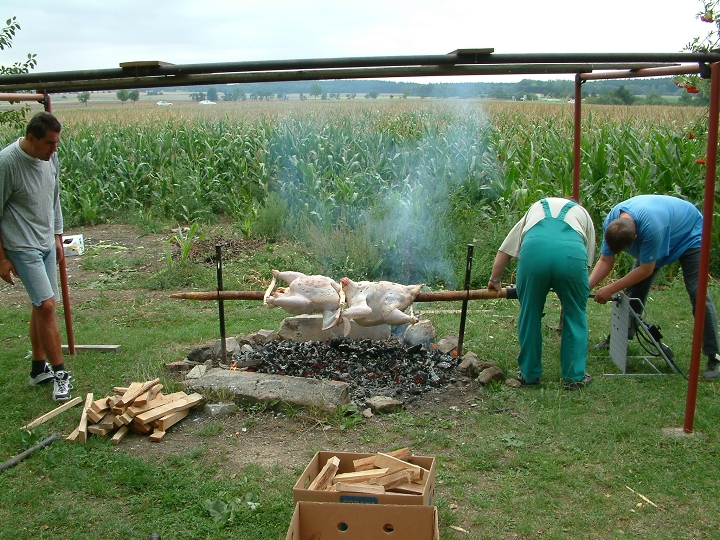 img00010.jpg