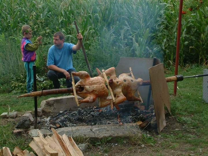 img00011.jpg