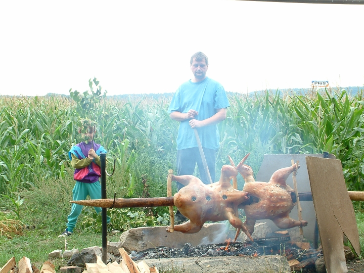 img00012.jpg