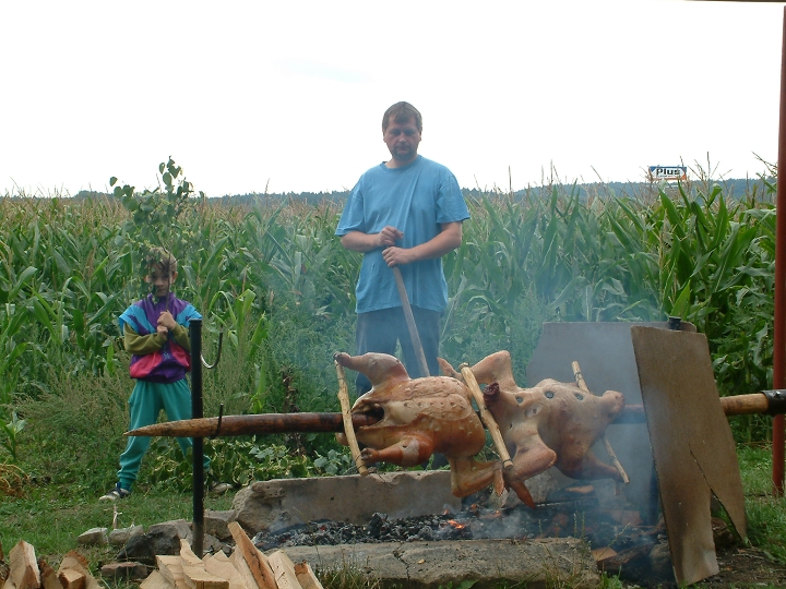 img00013.jpg