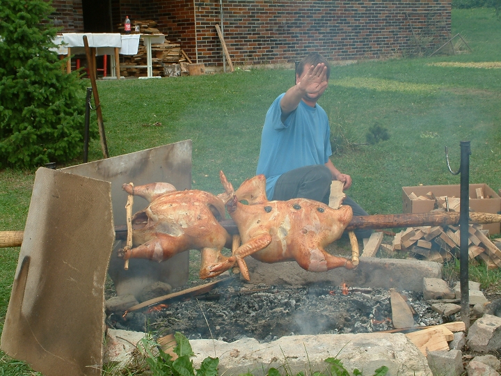 img00015.jpg