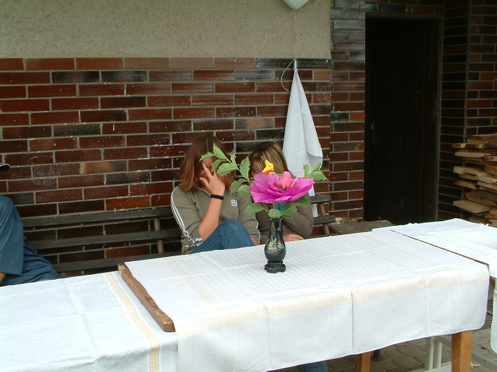 img00016.jpg