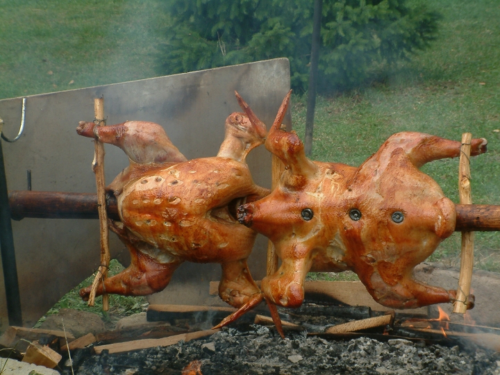 img00019.jpg
