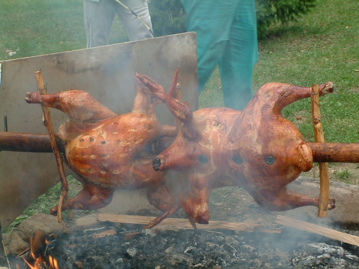 img00024.jpg