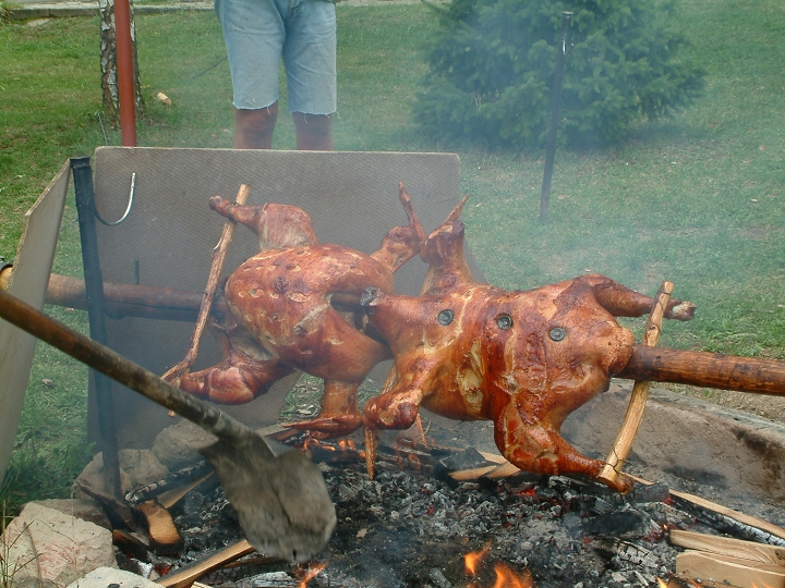 img00027.jpg