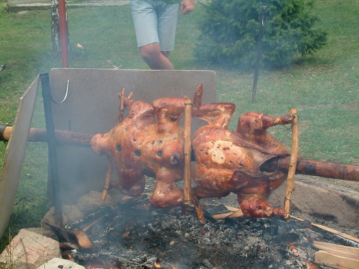 img00028.jpg